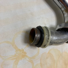 蛇口の画像
