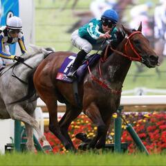 競馬を通じた友達&仲間作りしませんか！？