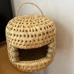 猫　セットの画像