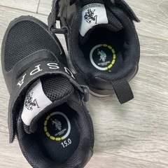 15cm
の画像