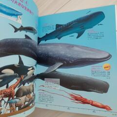 くらべる図鑑　新版の画像