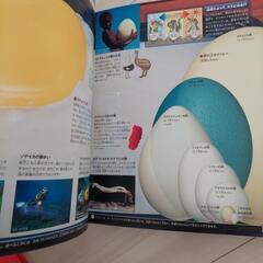 くらべる図鑑　新版の画像