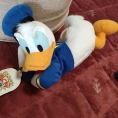 ディズニー　ドナルドダックの画像