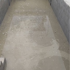 水すくって捨ててくれる人いませんか😭