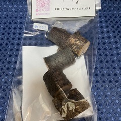 小動物の齧り木　桜🌸