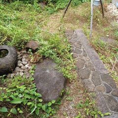 雑草、草引き