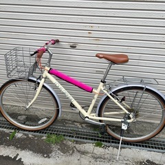 ルイガノ　TR-Ⅱ (2)の画像