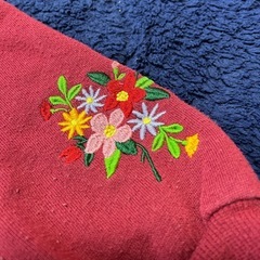 子ども　長袖　80の画像