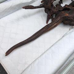 ★新入荷 流木 天然の画像