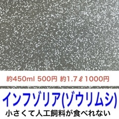 【針子・稚魚の活き餌】インフゾリア(ゾウリムシ) 約450ml 