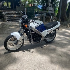 vtz250 mc15の画像