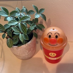 アンパンマンセット！　マジカルボンゴと水筒？コップ？カップ？の画像