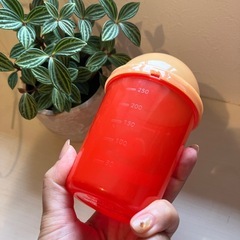 アンパンマンセット！　マジカルボンゴと水筒？コップ？カップ？の画像