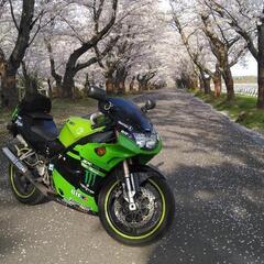 御話し中zxr250　バイクの画像