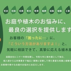 お庭や植木の手入れ致します！
