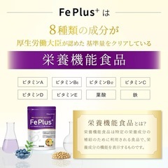 Fe Plus フェリチン鉄 3.3mg ×鉄分×マルチビタミン美容成分サプリの画像