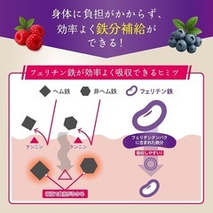 Fe Plus フェリチン鉄 3.3mg ×鉄分×マルチビタミン美容成分サプリの画像
