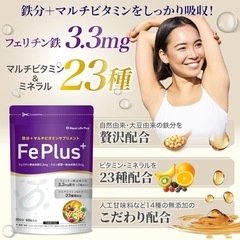 Fe Plus フェリチン鉄 3.3mg ×鉄分×マルチビタミン美容成分サプリの画像