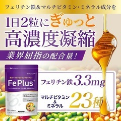 Fe Plus フェリチン鉄 3.3mg ×鉄分×マルチビタミン美容成分サプリの画像