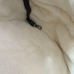 eggshell ペットキャリー 猫 チンチラ うさぎ 小動物 リュックの画像