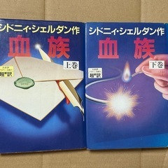 シドニィ・シェルダン　血族　上下巻　
