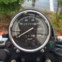 250trの画像