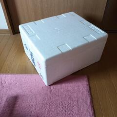 発泡ケース　大