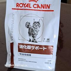 キャットフードの画像