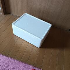 発泡ケース　小