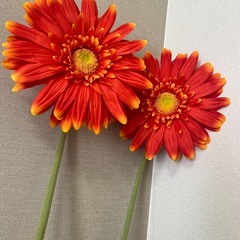 100㎝の造花（2本）の画像