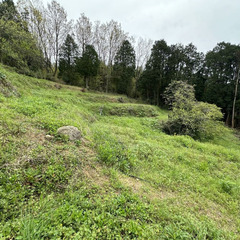 №J246【長崎県佐世保市】農地6筆、原野1筆、山林1筆あげます！