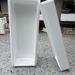 マグロ発砲