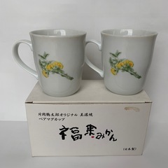【未使用箱付き
】片岡鶴太郎オリジナル　福来みかん