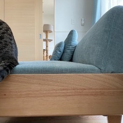 中古ソファの画像