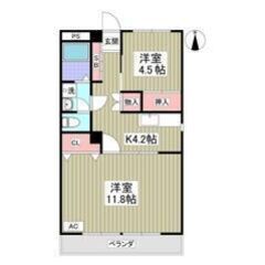 💛🧡フリーレント1ヶ月付き🧡💛敷礼ゼロ🎶駐車場1台無料✨新前橋駅...