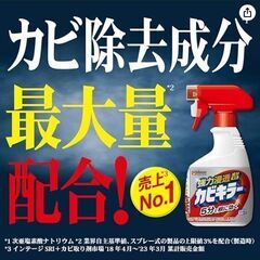 カビキラー カビ取り剤 つけかえ用 特大サイズ 大容量 ( 1ｋg )　の画像