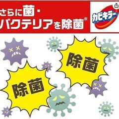 カビキラー カビ取り剤 つけかえ用 特大サイズ 大容量 ( 1ｋg )　の画像
