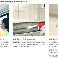 カビキラー カビ取り剤 つけかえ用 特大サイズ 大容量 ( 1ｋg )　の画像