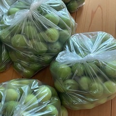 梅★家で取れました★1キロ強★無農薬★の画像