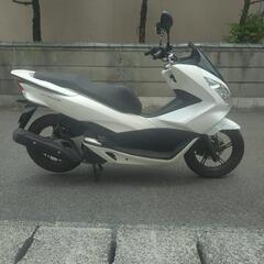 PCX125 JF56 実働　書付