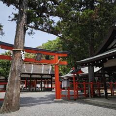 神社で健康習慣♪古典ヨガ@吉田神社の画像