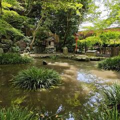 神社で健康習慣♪古典ヨガ@吉田神社の画像