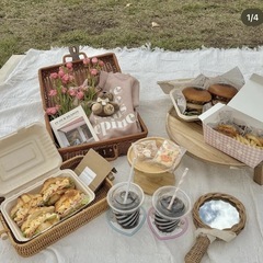 ピクニックバッグ