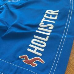 [ホリスター] HOLLISTER M  メンズ スイムパンツ 水着

の画像
