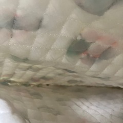 かぶと虫柄リックの画像
