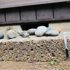 庭に使える長方形の敷石①の画像