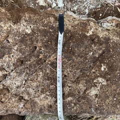 庭に使える長方形の敷石③の画像