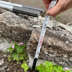 庭に使える長方形の敷石⑤の画像