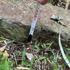 庭に使える長方形の敷石⑦の画像