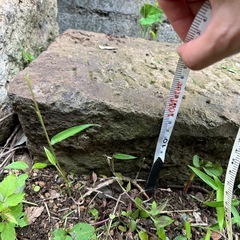 庭に使える長方形の敷石⑧の画像